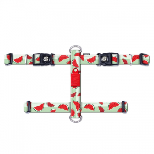 Neoprene Pet Harness 3