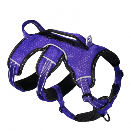 Neoprene Pet Harness 4
